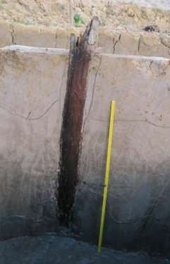 Ảnh 104 Cọc gỗ 20 CQ H5 C2 Nguồn Bùi Văn Hùng Ảnh 105 Cọc gỗ 20 CQ H5 C3 8