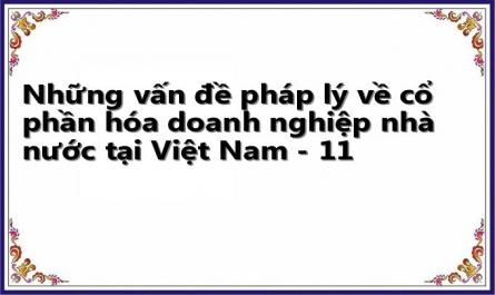 Những vấn đề pháp lý về cổ phần hóa doanh nghiệp nhà nước tại Việt Nam - 11