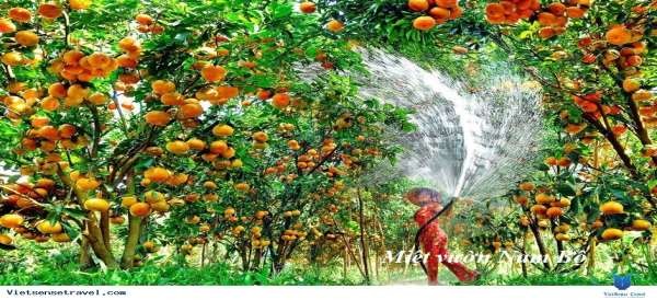 i i Tất cả hình ảnh minh họa trong luận án được lấy từ nguồn Internet 10