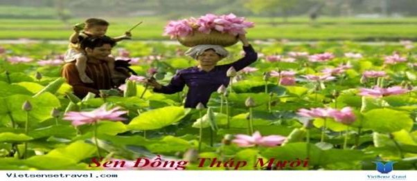 i i Tất cả hình ảnh minh họa trong luận án được lấy từ nguồn Internet 11