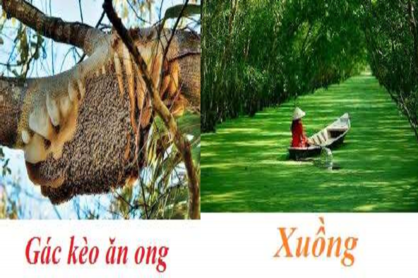 i i Tất cả hình ảnh minh họa trong luận án được lấy từ nguồn Internet 6