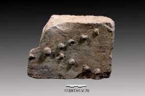 5 6 Hình 05 1 2 Gạch in chữ Hán Thu Vật huyện Vũ Linh hương 17 ĐKT H1 V79 3 4 30