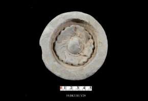 1 2 3 4 5 6 Hình 19 1 4 Đầu ngói ống trang trí hoa cúc 5 Đầu ngói ống nửa hình 26