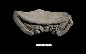 1 2 3 4 5 6 Hình 37 1 Đầu ngói trích thủy tráng trí hoa cúc loại 2 kiểu 1 ký 35