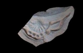 5 6 Hình 37 1 Đầu ngói trích thủy tráng trí hoa cúc loại 2 kiểu 1 ký hiệu 39