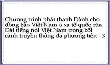 Thông Tin Dành Cho Người Việt Nam Ở Nước Ngoài Và Chương Trình Phát Thanh “Dành Cho Đồng Bào