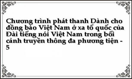 Diện Mạo Các Kênh Đối Ngoại Dành Cho Đồng Bào Việt Nam Ở Nước Ngoài