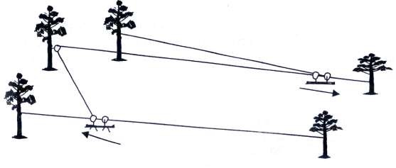 Hình 1 13 Đường cáp ba dây không động lực Đường cáp ba dây có động lực 1