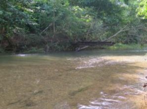 Hình 2 3 Rừng kín thường xanh ven suối Hình 2 5 Rừng hỗn giao tre nứa Hình 2 4 3