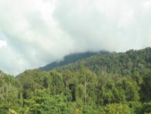 Hình 2 4 Rừng kín thường xanh trên đồi núi thấp 2 4 1 2 Phương pháp điều tra 5