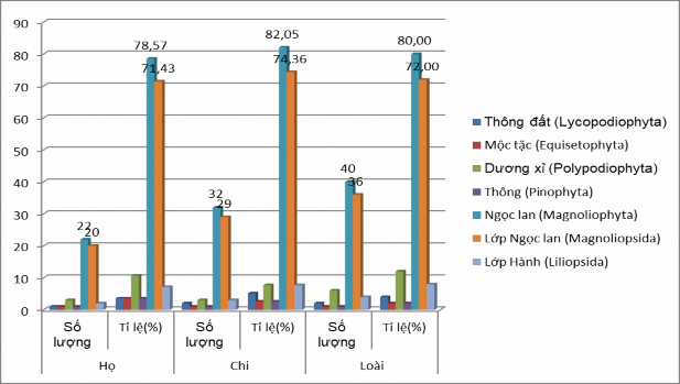 Hình 3 5 Phân bố của các họ chi loài cây thuốc ở rừng trồng thông tại KVNC 1
