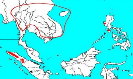 Nghiên cứu kích thích ra hoa, tạo tán và bảo quản hạt phấn Thông nhựa pinus merkusii jungh et devriese ở vườn giống - 2