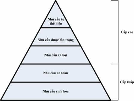 Nguồn Organizational Bihavior Hình 1 1 Tháp nhu cầu của Maslow Về căn bản nhu 2