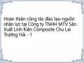 Hoàn thiện công tác đào tạo nguồn nhân lực tại Công ty TNHH MTV Sản Xuất Linh Kiện Composite Chu Lai Trường Hải