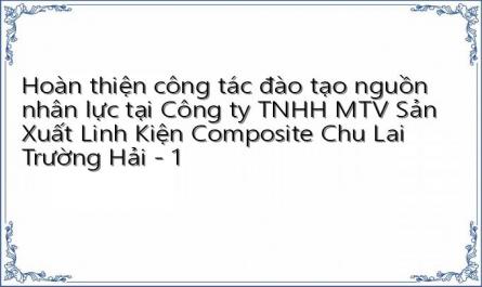 Hoàn thiện công tác đào tạo nguồn nhân lực tại Công ty TNHH MTV Sản Xuất Linh Kiện Composite Chu Lai Trường Hải - 1