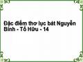Đặc điểm thơ lục bát Nguyễn Bính - Tố Hữu - 14