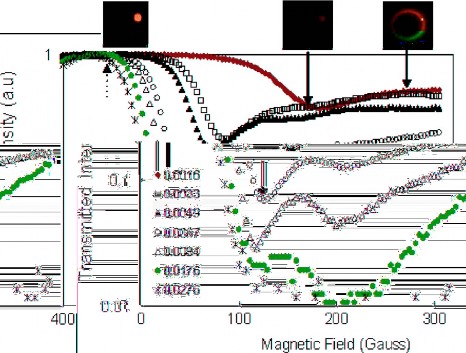 Hình 1 5 Cường độ ánh sáng tán xạ là hàm của từ trường ngoài trong dung 1