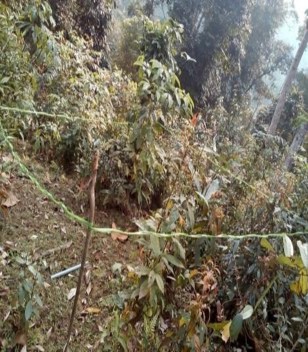 Of the Kandy Symposium UNESCO PHỤC LỤC 1 MỘT SỐ HÌNH ẢNH TRONG QUÁ TRÌNH THỰC TẬP 2