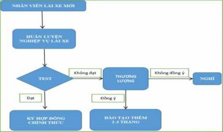 Tình Hình Nguồn Nhân Lực Công Ty Tnhh Liên Hợp Vận Tải Và Du Lịch Vitraco