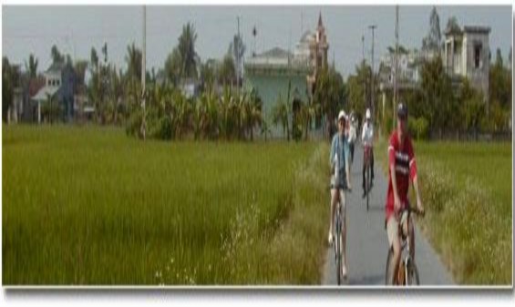 Tour du khảo đồng quê bằng xe đạp Sân La Terrasse 9