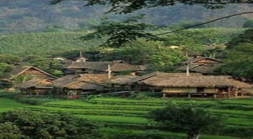 Xụi đỏ đen khẩu đăm đeng Khõu nhục Mật ong rừng Quả trỏm đen Trứng 1