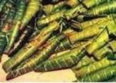 Bỏnh gio Bỏnh nếp Cơm lam Xụi ngũ sắc Cách bảo quản thực phẩm của người 3