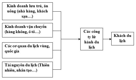 1 1 4 Cơ cấu tổ chức của một doanh nghiệp du lịch lữ hành 1 1 4 1 Hội đồng 1