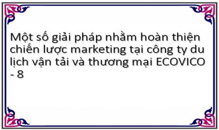 Một số giải pháp nhằm hoàn thiện chiến lược marketing tại công ty du lịch vận tải và thương mại ECOVICO - 8