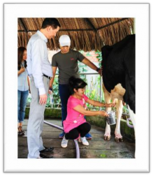 H7 VẮT SỮA BÒ NÔNG TRANG XANH H8 THU HOẠCH NẤM GREEN PARK H9 KHU DÃ NGOẠI 2