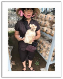 H7 VẮT SỮA BÒ NÔNG TRANG XANH H8 THU HOẠCH NẤM GREEN PARK H9 KHU DÃ NGOẠI 3