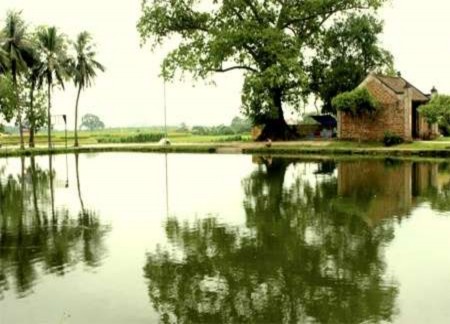 Làng Đường Lâm là quê hương của Phùng Hưng và Ngô Quyền hai vị anh hùng dân 8