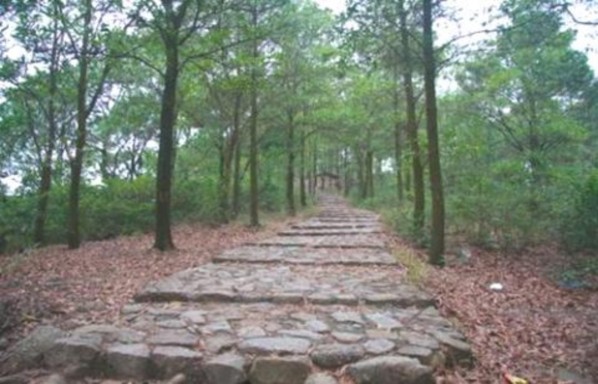 Đường lên Bàn Cờ Tiên Sân Golf ngôi sao Chí Linh Thiết kế cảnh quan quy hoạch 3