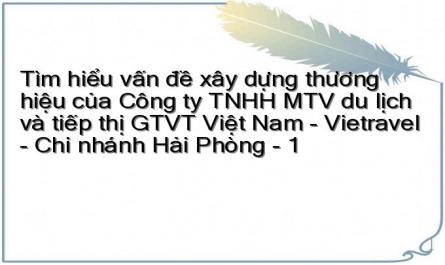Tìm hiểu vấn đề xây dựng thương hiệu của Công ty TNHH MTV du lịch và tiếp thị GTVT Việt Nam - Vietravel - Chi nhánh Hải Phòng - 1