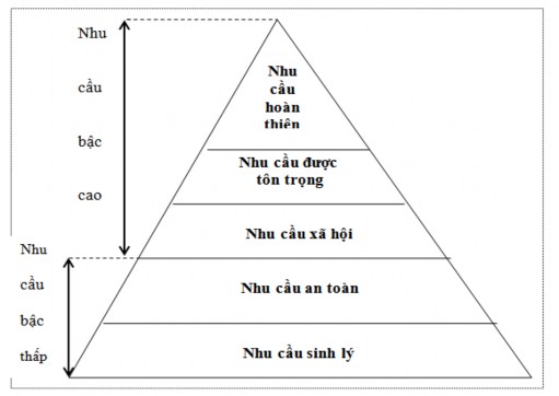 Sơ đồ 1 2 Hệ thống nhu cầu của Maslow Nguồn Maslow 1970 Học thuyết này cho 1