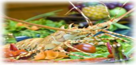 Bar Swimming Pool Swimming Pool Massage Services Sauna Meeting Room Reception Lobby Hotel Exterior 17