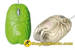 Chuột Gold Brain Computer Đây là con chuột thông minh với những nếp nhăn giống 10