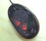 Với kích cỡ chỉ bằng hoặc nhỏ hơn quả trứng gà chuột mini được sử 4