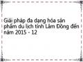 Giải pháp đa dạng hóa sản phẩm du lịch tỉnh Lâm Đồng đến năm 2015 - 12