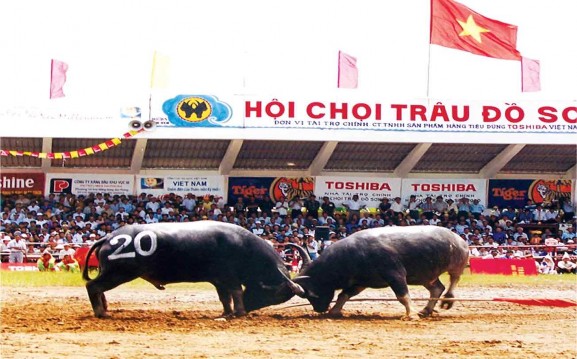 Www sodulich gov vn 2 www google com vn 3 www vietnamtourism com 4 www haiphong gov vn 1