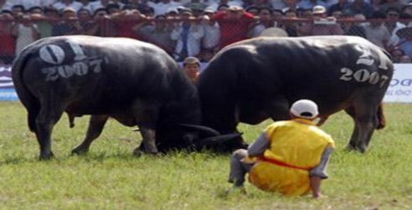 Www sodulich gov vn 2 www google com vn 3 www vietnamtourism com 4 www haiphong gov vn 2