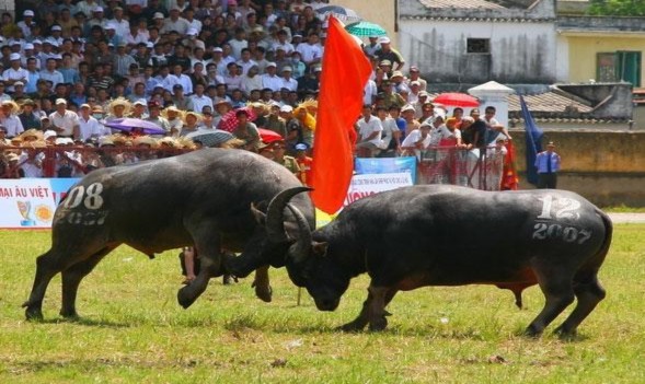 Www sodulich gov vn 2 www google com vn 3 www vietnamtourism com 4 www haiphong gov vn 3