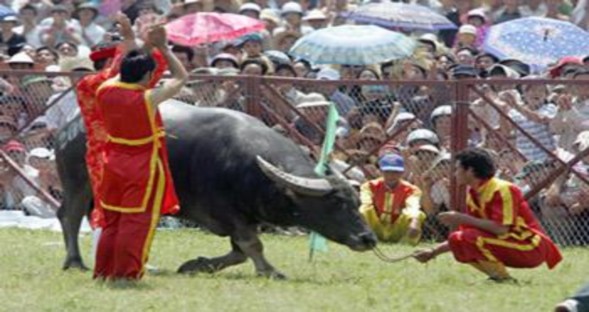 Www sodulich gov vn 2 www google com vn 3 www vietnamtourism com 4 www haiphong gov vn 4