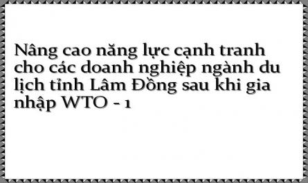 Nâng cao năng lực cạnh tranh cho các doanh nghiệp ngành du lịch tỉnh Lâm Đồng sau khi gia nhập WTO - 1