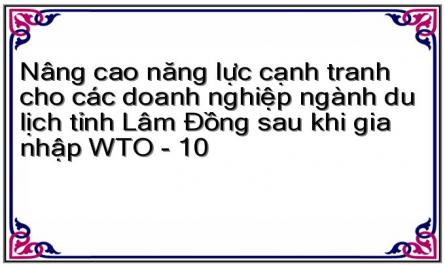Nâng cao năng lực cạnh tranh cho các doanh nghiệp ngành du lịch tỉnh Lâm Đồng sau khi gia nhập WTO - 10
