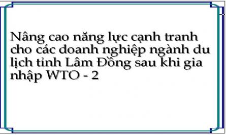 Nâng cao năng lực cạnh tranh cho các doanh nghiệp ngành du lịch tỉnh Lâm Đồng sau khi gia nhập WTO - 2