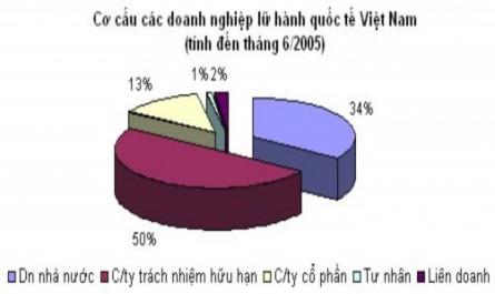 Thực Trạng Ngành Du Lịch Việt Nam‌