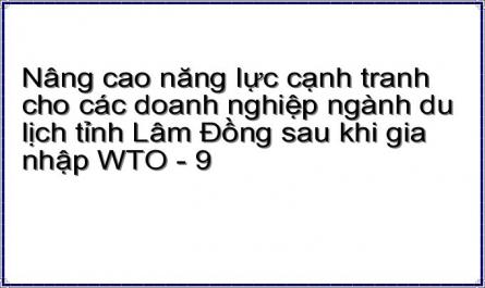 Nâng cao năng lực cạnh tranh cho các doanh nghiệp ngành du lịch tỉnh Lâm Đồng sau khi gia nhập WTO - 9