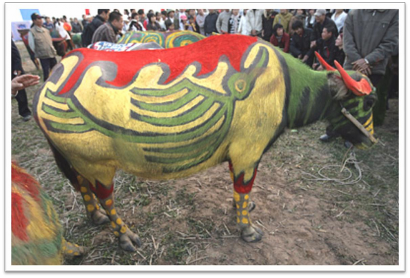 Con trâu có bức vẽ đẹp nhất sẽ dành để phục vụ cho lễ cày Tịch điền 2