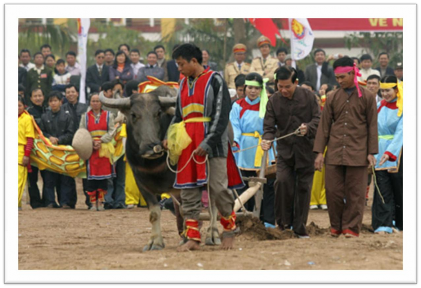 Chủ tịch nước Nguyễn Minh Triết khiển trâu trong lễ hội Tịch điền Đọi 4