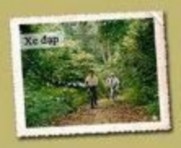 Hình 14 Đạp xe trong VQG Cúc Phương MỤC LỤC LỜI MỞ ĐẦU 1 1 Lý do chọn đề 12